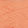 03 - Apricot