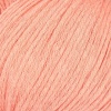 03 - Apricot