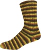2692 - Brauntöne