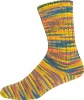 3053 - Gelb/Blau/Rosa