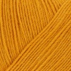 25 - gold (100g)