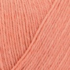 32 - apricot (100g)