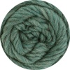 5011 - Jadegrün meliert