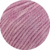 109 - Rosa meliert