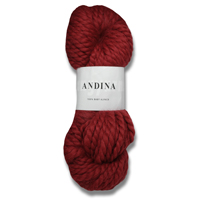Artikelbild des Artikels “Lang Yarns Andina “