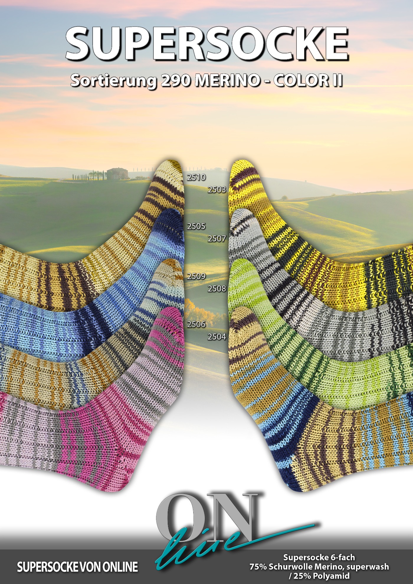 Artikelbild 1 des Artikels “ONline Supersocke 6-fach 150g Sort. 290 Merino Color “