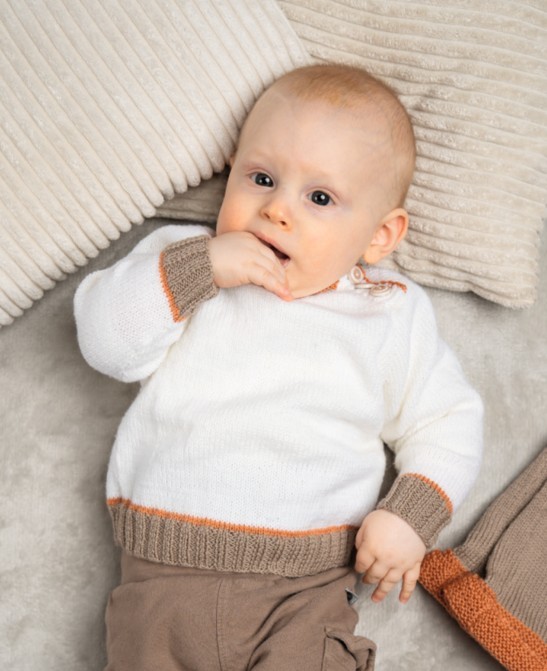 Artikelbild 1 des Artikels “Raglanpulli aus Pro Lana Baby Merino Soft “