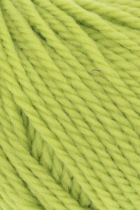 Artikelbild 2 des Artikels “Slipover Simple Pleasure aus WOOLADDICTS Glory 1061.0116 - Matcha | S (300g)“