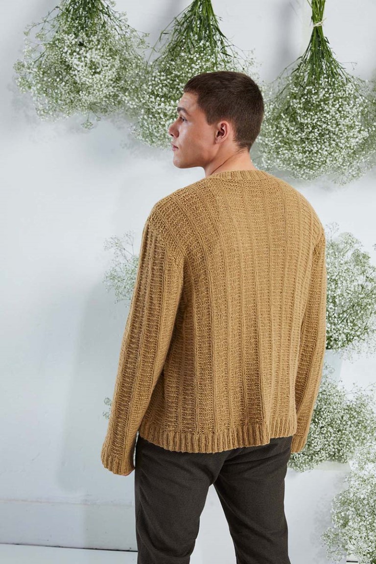 Artikelbild 3 des Artikels “Herrenpullover aus Regina “