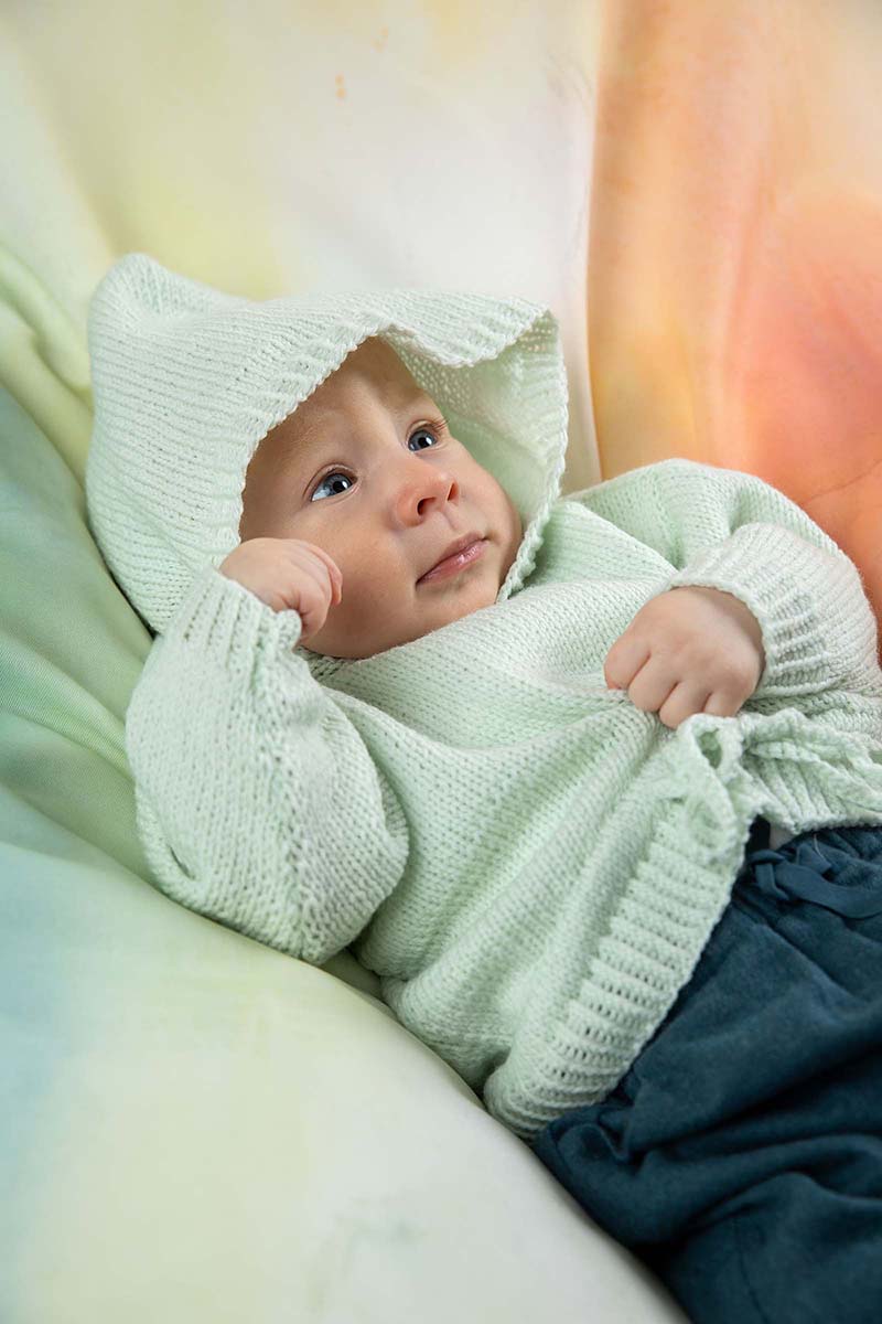 Artikelbild 3 des Artikels “Pullover aus Merino 200 Bebé “