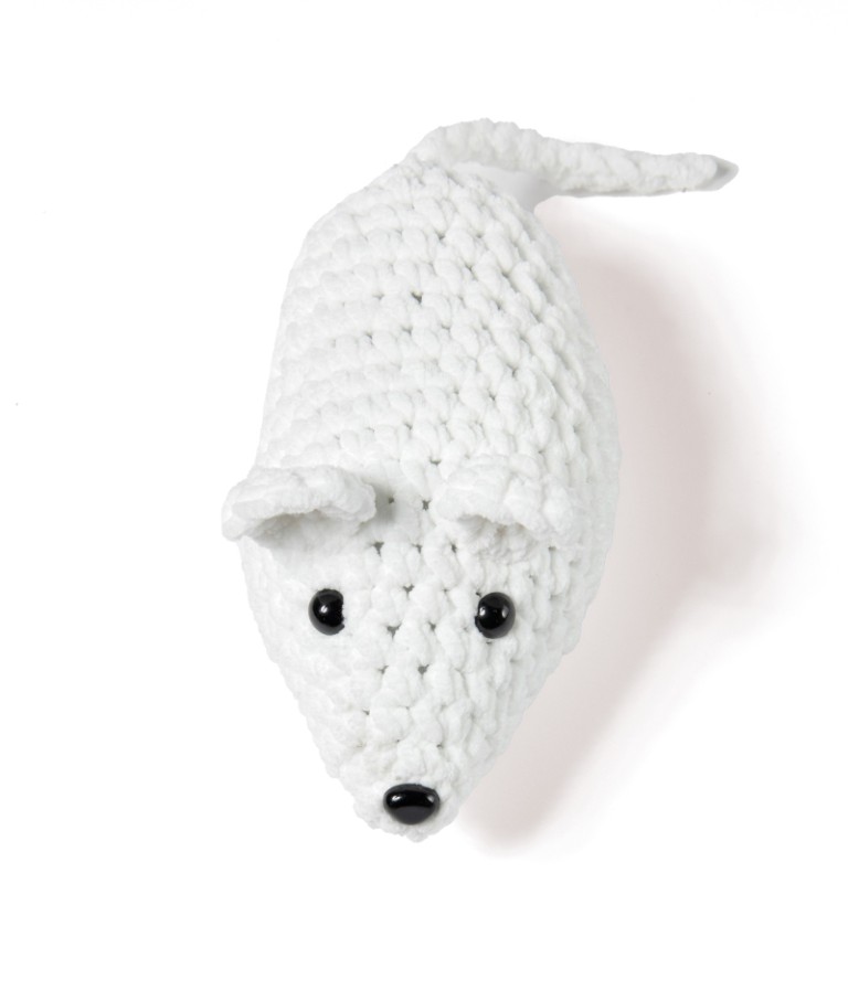 Artikelbild 3 des Artikels “Maus aus The Look “