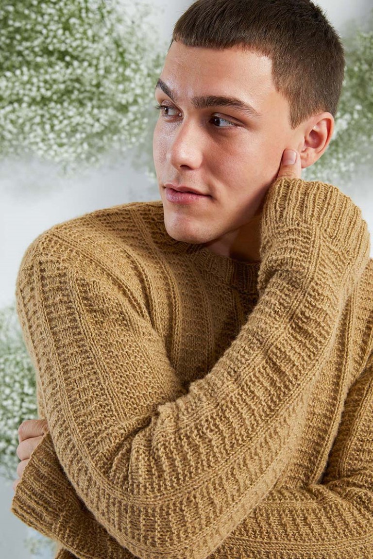 Artikelbild 4 des Artikels “Herrenpullover aus Regina “