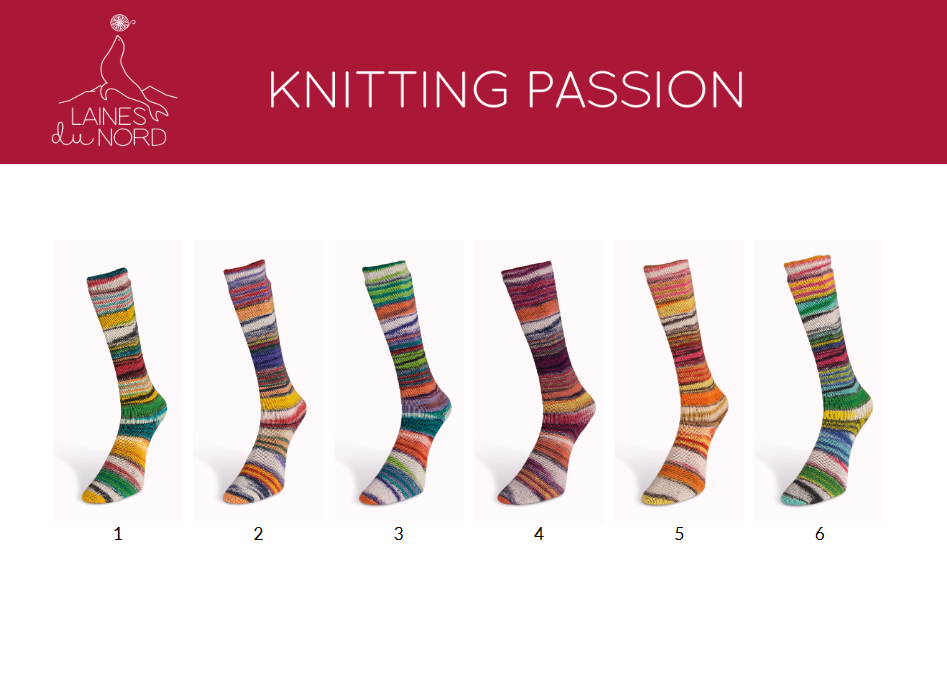 Artikelbild 5 des Artikels “Laines du nord Eclectic Sock “